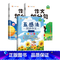 五感法写作文+作文加分句(全3册) 五年级上 [正版]五感法写作文三到六年级同步作文全套小学语文一年级二年级看图写话四五
