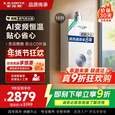 AO史密斯佳尼特16升燃气热水器佳尼特 不锈钢换热器8年包换 恒温大水量 抗风防冻 JSQ31-TC1