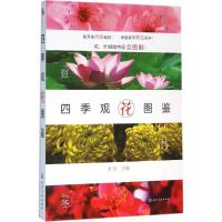 四季观花图鉴