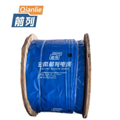 前列 铜芯交联电缆ZC-YJV-0.6/1KV-4×6mm² 米