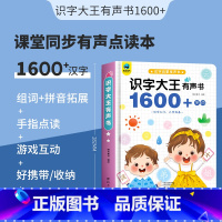 识字大王有声书1600+字词 [正版]会说话的认知小百科幼儿早教有声书 宝宝手指点读发声书中英双语幼小衔接学前儿童点读书