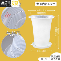 三维工匠控根兰花专用盆双层透明塑料透气超紫砂加厚兰花盆免沥水罩 内径18cm外白内透明+托盘[升级气剪孔] 中等花盆容器