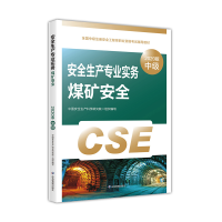 正版新书]安全生产专业实务 煤矿安全 2020版中国安全生产科学研
