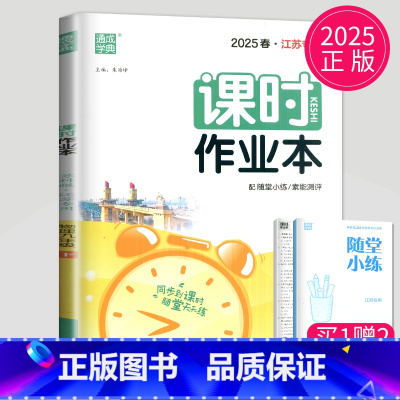 物理 九年级下 苏科版 九年级/初中三年级 [正版]2025春课时作业本九年级上下册数学人教版通城学典中学教辅南通9年级
