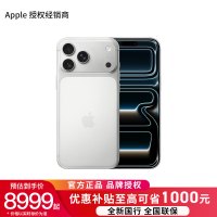 Apple iPhone 17 Pro Max 256G 银色[需现场签收激活]5G全网通手机 全新正品国行