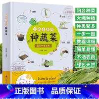 手把手教你种蔬菜 [正版] 手把手教你种蔬菜 蔬菜种植宝典 蔬菜栽培种植技术大全书籍 75款品种蔬菜水果种植教程图解 种