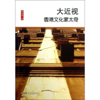 醉染图书大近视:香港文化蒙太奇9787533674564