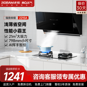 名气油烟机CXW-260-2215A