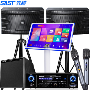 先科D26家庭KTV音响套装家用卡拉ok音响家庭影院唱歌全套设备k点歌音响一体机专业音箱带低音炮