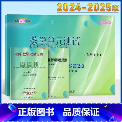 数学堂堂练6上书+卷+答案 初中通用 [正版]2025版初中数学物理化学单元测试双基过关堂堂练 测试与评估 复习点要 书