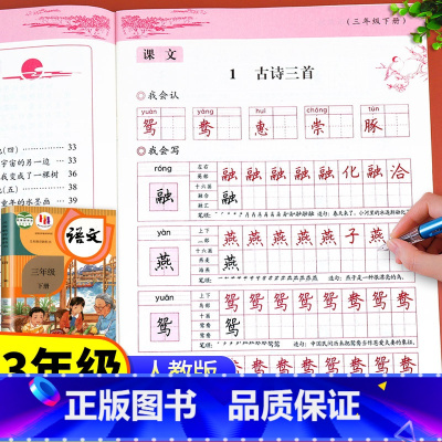 [全套5册]包含以上全部(推荐购买) 一年级下 [正版]老师三年级下册语文同步字帖 人教版练字帖 3年级下 小学生三下