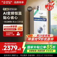 AO史密斯16升燃气热水器佳尼特 不锈钢换热器8年包换 恒温大水量 抗风防冻 JSQ31-TC1
