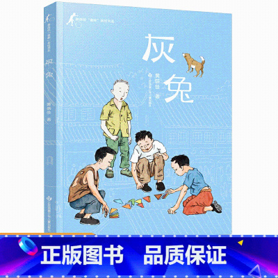 [正版]黄蓓佳童眸美绘书系灰兔 黄蓓佳倾情小说儿童长篇小说6-14儿童课外阅读书籍关注当下乡村孩子的生活话题新颖角度别