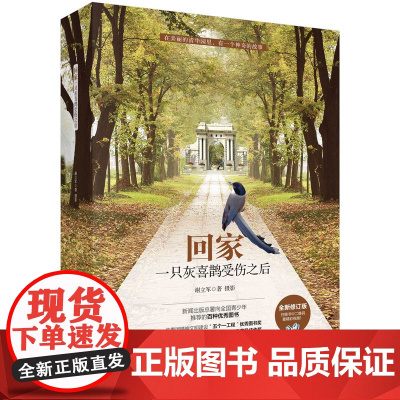 回家--一只灰喜鹊受伤之后