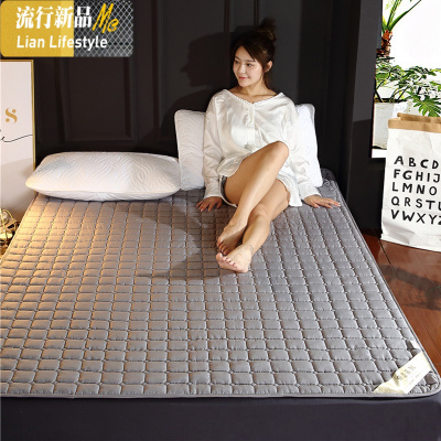 夏季床垫薄款四季通用床褥子床护垫可机水洗折叠软垫薄床褥垫防滑 三维工匠
