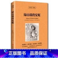 [正版] 双语名著 绿山墙的安妮 读名著 学英语 中文版+英文版 中英文对照 双语读物 世界名著英语图书 经典文学小说