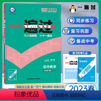 数学 八年级下 [正版]HS版2023版 一遍过初中八年级下册数学 华师大版 初二下册数学同步训练练习册 初中一遍过八下