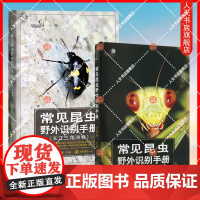正版书籍 常见昆虫野外识别手册张巍巍重庆大学出版社图书 人天书店书排行榜
