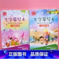一年级上册+下册(送铅笔) [正版]一年级二年级三同步字帖上册下册小学生四五六年级人教版练字帖汉字生字描红本带笔画笔顺拼
