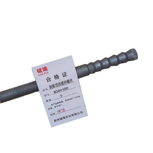 钺瑞倒锥型热镀锌螺丝M30*400/个