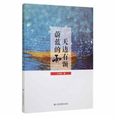 正版新书]天边有颗蔚蓝的雨利峰应急管理出版社9787502085384王
