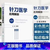 针刀医学应用解剖第2版 [正版]针刀医学应用解剖 第2二版 易秉瑛 人民卫生出版社 颅面部解剖 颈项部解剖 躯干后部解剖