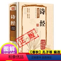 [正版]诗经原著完整版全集译注注析全注全译诗经析读风雅颂春秋孔子等编选沐言非主编图解详析新疆