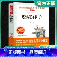 骆驼祥子 原著正版 [正版]骆驼祥子原著老舍的 小学生五年级六年级必读课外书籍 老师无障碍阅读 导读版青少年版天地出版