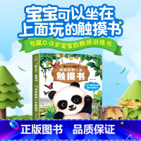 那么大!地板书:宝宝的第一本触摸书 [正版]宝宝的第一本触摸书 1岁半立体书宝宝书本撕不烂立体儿童书籍幼儿读物0到2-3