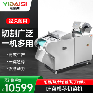 意黛斯(YIDAISI)商用切菜机单位学校食堂工厂厨房多用切菜机电动叶菜根茎切段切丝切片切丁YDSYQC-QJ1000