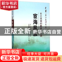 正版 宦海风波:长江流域的酷吏与官祸 王洪强 长江出版社 9787549