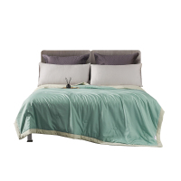 艾逸瑶选 克莱恩抗菌被200x230cm JF-24110