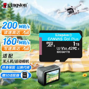 金士顿(Kingston)1TB TF(MicroSD)存储卡 内存卡U3 V30 A2 4K适配大疆Pocket
