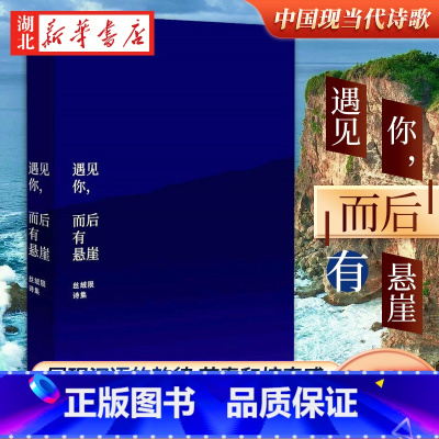 [正版]遇见你而后有悬崖 丝绒陨诗集 词语景观 爱的险境 一位当代精神漫游者的肖像 我们机械日常的升华与变奏中国现当代