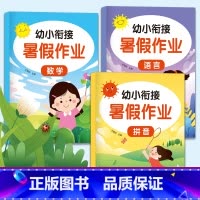 幼小衔接暑假作业 [正版]幼小衔接暑假作业(全3册)幼儿园中班大班一日一练学前班学前拼音语言数学练习册幼升小一年级入学准