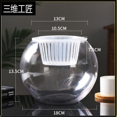 创意水培植物玻璃花瓶透明水养绿萝花盆容器插花瓶圆球形鱼缸器皿三维工匠（18圆球）+水培蓝中等