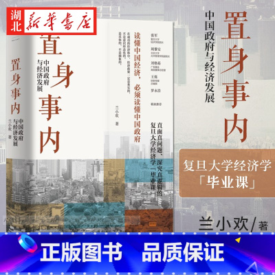 [正版]置身事内:中国政府与经济发展 复旦大学经济学院副教授兰小欢多年教学与研究成果 罗永浩刘格菘张军周黎安王烁 管理