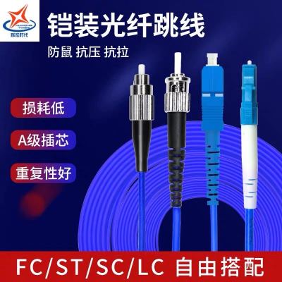 辉宏时代光纤线FC-FC单模双芯铠装光纤跳线防鼠咬抗拉力强防水光缆电信级100米