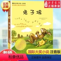兔子坡 [正版]石狐 国际大奖小说注音版新蕾出版社 儿童文学小说系列书籍拼音版小学生一二三四小学生课外书雷诺兹卡迪纳
