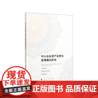 中小企业资产证券化管理模式研究