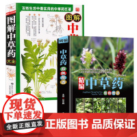 [2册]精编中草药原色图谱+图解中草药大全 中草药速查书图鉴中草药实用大全本草纲目神农百草经常见中草药识别中医养生药学书