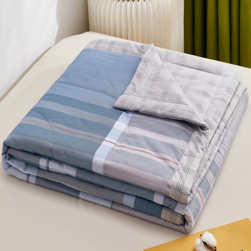 全棉夏被 空调被 夏凉被 被芯 180*220cm 床(QMXB01)