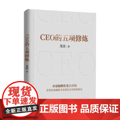 CEO的五项修炼 龙波 著 管理学