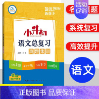 语文小升初总复习真题集训 小学升初中 [正版]文言文阅读强化训练120篇 六年级小升初 小学语文文言文古诗文古文阅读理解