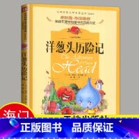 [正版]2024海门好书伴我成长系列一年级下阅读 洋葱头历险记注音版天地出版社小学生课外阅读书籍故事书6-7-8-9-1