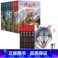 [全套13册]沈石溪动物小说+狼王梦画本 [正版]沈石溪动物小说全集全套8册四年级至六年级必读课外书老师读物五年级适合小