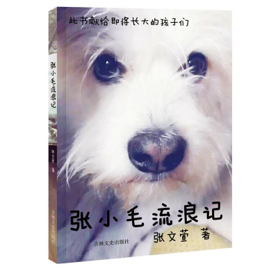正版新书]张小毛流浪记张文萱著9787547231142