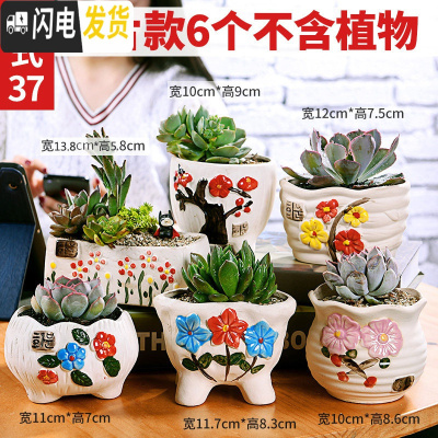 三维工匠多肉花盆陶瓷粗陶透气大口径大号盆栽创意小盆栽 款37套装037(6个) 中小花盆容器
