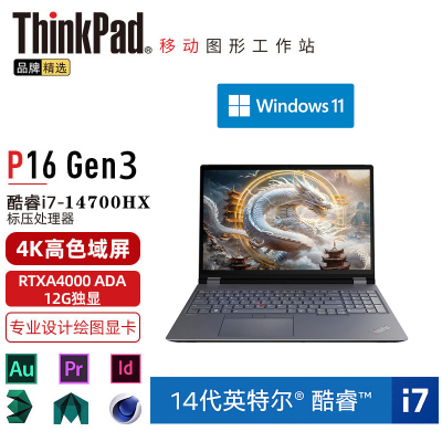ThinkPad P16 (4DCD) 英特尔酷睿 16英寸高性能轻薄设计师工作站笔记本电脑 定制i7-14700HX 64G 1TB RTXA4000 12G 4K超清