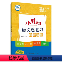 [语文]总复习 小学升初中 [正版]2024小升初语文总复习真题集训考前冲刺卷培优新帮手小学6六年级语文系统总复习知识导